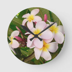 Horloge Ronde Aloha Frangipani Hawaii Blossoms Plumerias