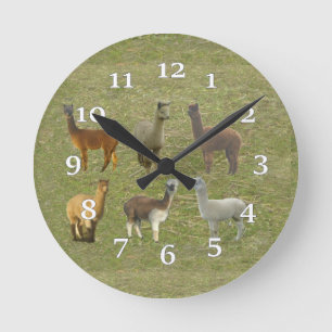 Horloge Ronde Alpaca Group Wall Clock