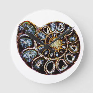 Horloge Ronde Ammonite