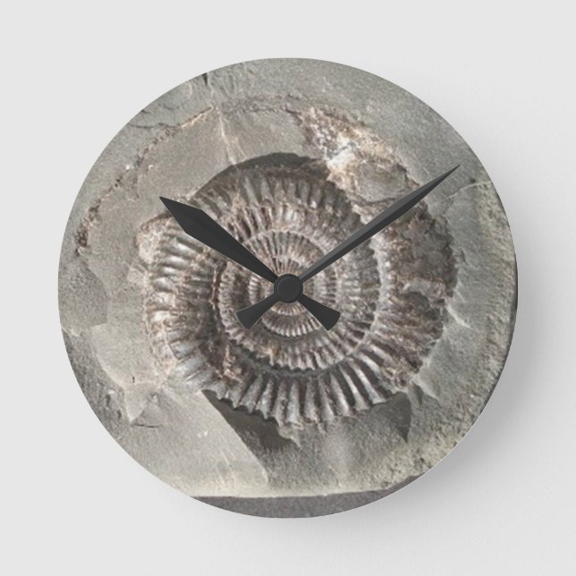 Horloge Ronde Ammonite de Dactylioceras dans la roche (Recto)