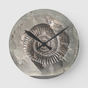 Horloge Ronde Ammonite de Dactylioceras dans la roche