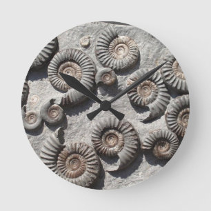 Horloge Ronde ammonites fossiles multiples du Lower Lias