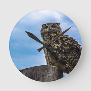 Horloge Ronde Amour de paix de destin de nature animale de plume