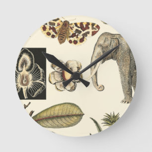 Horloge Ronde Animaux agressés peints sur Arrière - plan de crèm