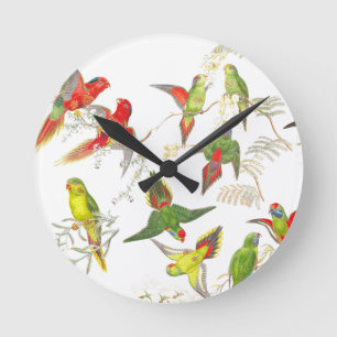 Horloge Ronde Animaux de faune d'oiseaux de perroquet de
