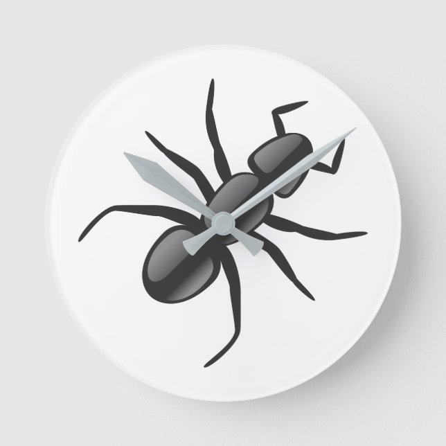 Horloge Ronde Ant (Recto)