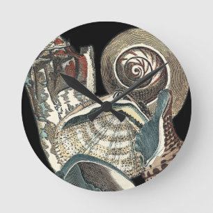 Horloge Ronde Anthologie de coquillage