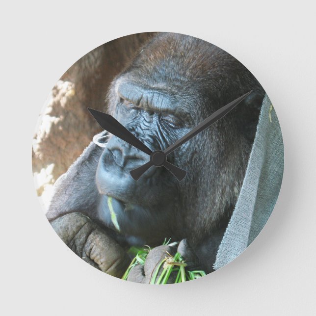Horloge Ronde Ape hood ~ Japonais Gorilla Manger (Recto)