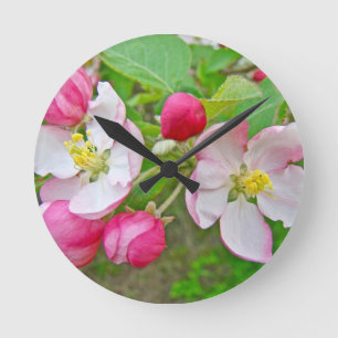 Horloge Ronde Apple Blossom Time