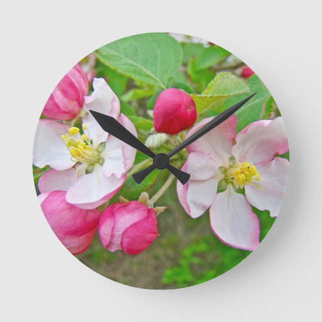 Horloge Ronde Apple Blossom Time (Recto)