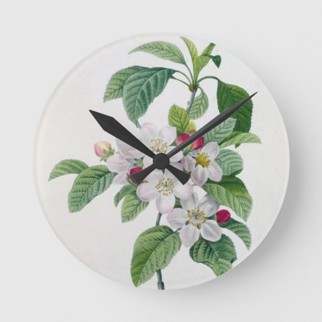 Horloge Ronde Apple fleurissent, du 'DES de Les Choix plus des (Recto)