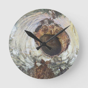 Horloge Ronde Arbre de bouleau