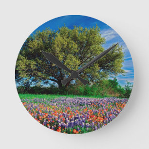 Horloge Ronde Arbres Live Oak parmi des Bluebonnets de Texas