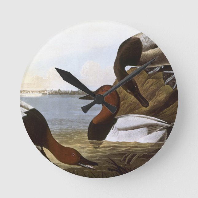 Horloge Ronde Audubon : Canvasback (Recto)