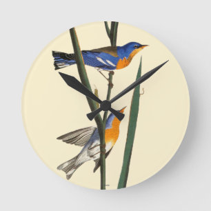 Horloge Ronde Audubon : Fauvette