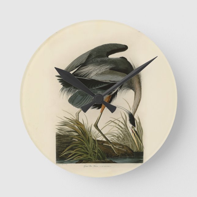 Horloge Ronde Audubon Great Blue Heron Marsh Bird (Recto)