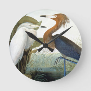 Horloge Ronde Audubon : Héron rougeâtre ou héron pourpre