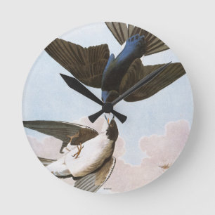 Horloge Ronde Audubon : Hirondelle d'arbre