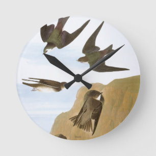 Horloge Ronde Audubon : Hirondelles