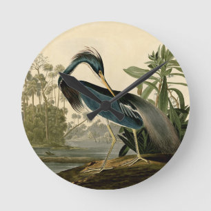 Horloge Ronde Audubon Louisiana Heron