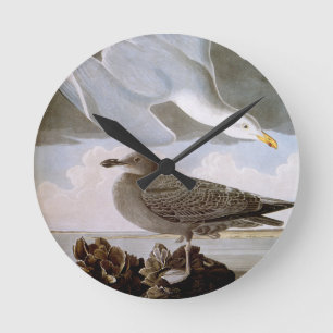 Horloge Ronde Audubon : Mouette d'harengs