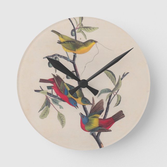 Horloge Ronde Audubon Peint Bunting Bird Wildlife (Recto)