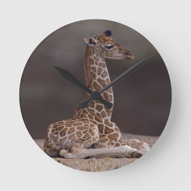Horloge Ronde Baby Giraffe Clock (Recto)