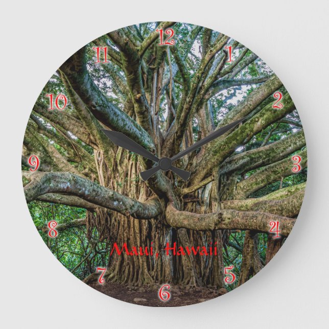 Horloge Ronde Banyan Tree le long de la piste Pipiwai Grande hor (Recto)