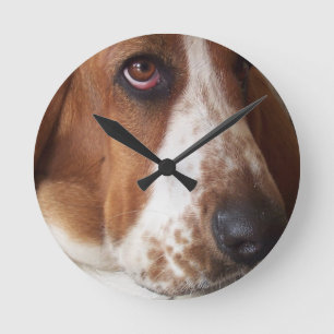 Horloge Ronde basset-hound-7