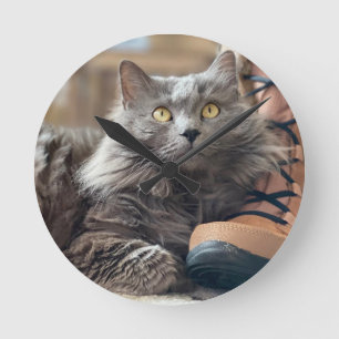 Horloge Ronde Beau gris Nebelung cheveux longs Russe Blue Chat