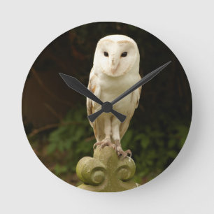 Horloge Ronde Beautiful Owl Wall Clock