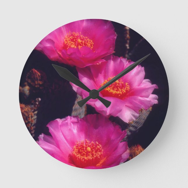 Horloge Ronde Beavertail Cactus Flowers 2 (Recto)