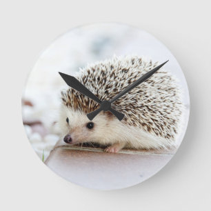 Horloge Ronde Bébé hérisson mignon