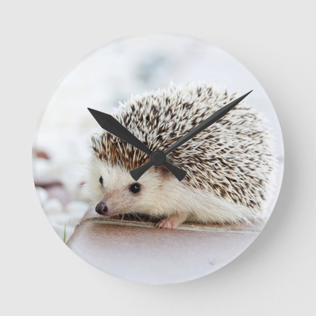 Horloge Ronde Bébé hérisson mignon (Recto)