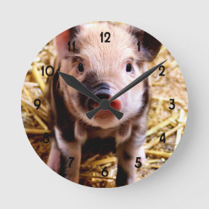 Horloge Ronde Bébé mignon porc
