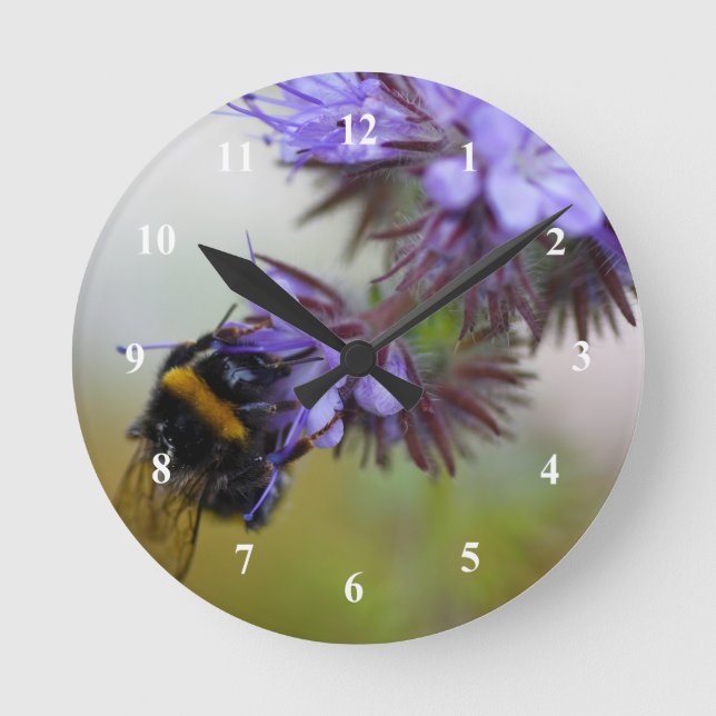 Horloge Ronde Bee on Blue Tansy Acrylic Wall Clock (Recto)
