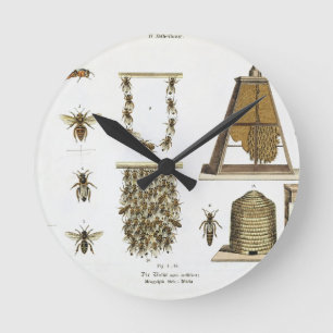 Horloge Ronde Bees and bee-keeping, from 'The Young Landsman', p