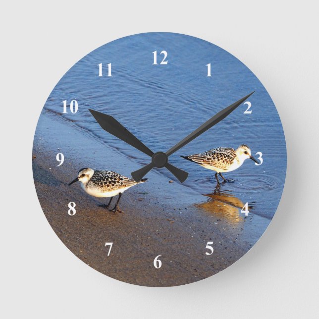 Horloge Ronde Belle Bleue Bleue Sandpiper Photo (Recto)