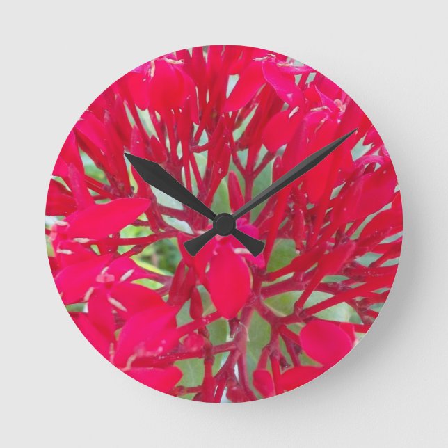 Horloge Ronde Belle fleur de sang Milkweed Art Imprimer/Graphiqu (Recto)