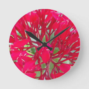 Horloge Ronde Belle impression d'art de fleur de sang de laitero