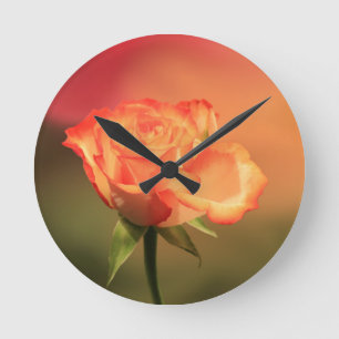 Horloge Ronde Belle photo de Rose romantique