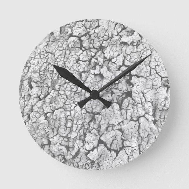Horloge Ronde Belle Silver Grey Nature Abstraite (Recto)