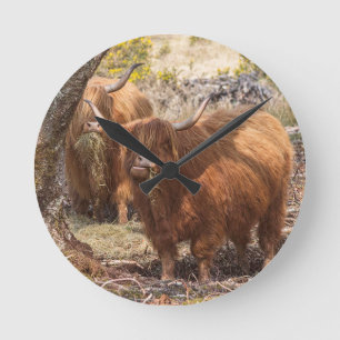 Horloge Ronde Belles vaches de ferme Highland