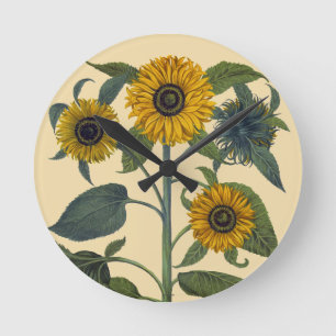 Horloge Ronde Besler : Tournesol