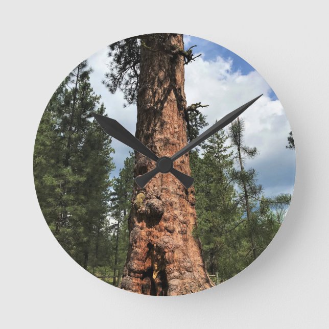 Horloge Ronde Big Red Tree, La Pine OU (Recto)
