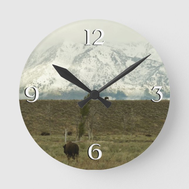 Horloge Ronde Bison à Grand Teton National Park Photographie (Recto)