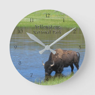 Horloge Ronde Bison du parc national Yellowstone à Pond