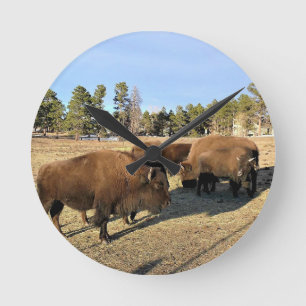 Horloge Ronde Bisons dans le Colorado