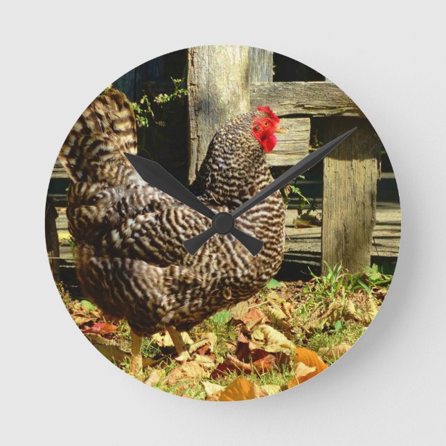 Horloge Ronde Black and white chicken (Recto)