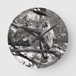 Horloge Ronde Black and White Nature Red Shoulder Hawk -